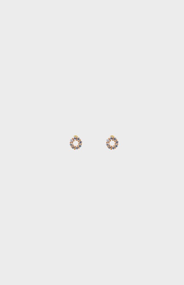 Carli Earrings in Rose Gold