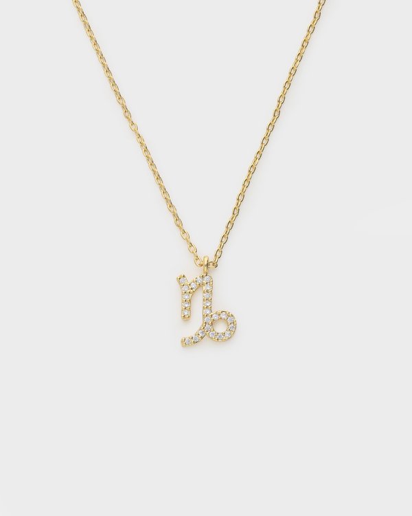 Capricorn Horoscope Necklace in Gold
