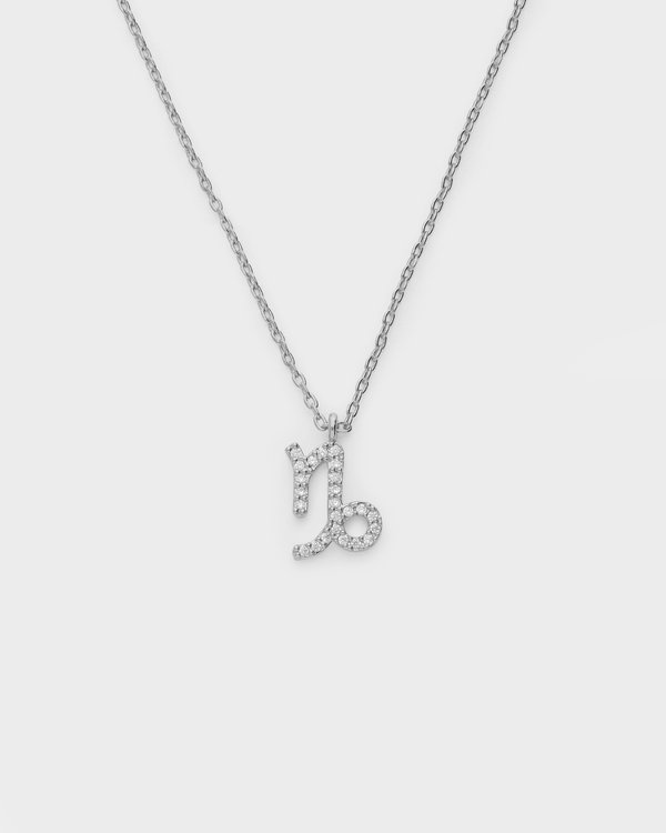 Capricorn Horoscope Necklace in Silver