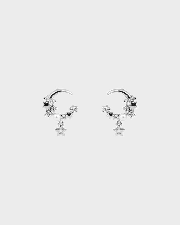 Claudia Earrings in Silver